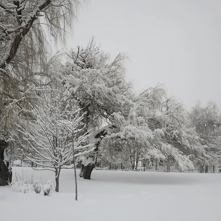 Altavista Mountain Appartement *