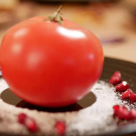 Altavista Mountain * Samokov