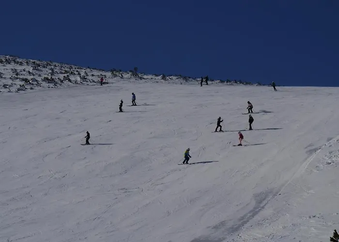 Διαμέρισμα Altavista Mountain Σάμοκοβ